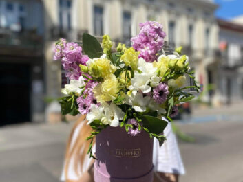 zd10 flower-boxy-wloclawek
